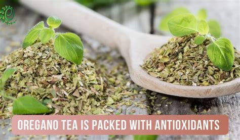 What Are The Key Oregano Tea Benefits & Side Effects - Spiritea Drinks ...