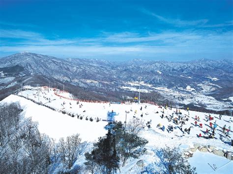 Yongpyong Ski Resort South Korea Travel Info Facts Attractions