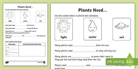 Plants Worksheet Primary Resources Twinkl Twinkl