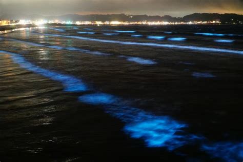 El Increíble Efecto Bioluminiscente Que Podrás Ver En Estas Playas De España