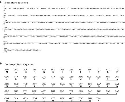 Complete Nucleotide Sequence And The Deduced Amino Acid Sequence A