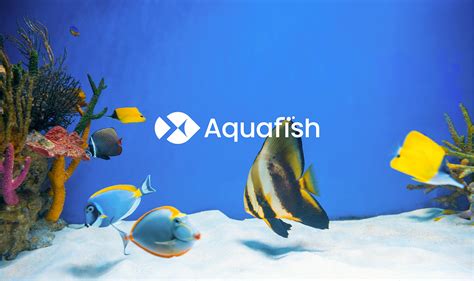 Aquarium Logo Design & Brand Identity :: Behance