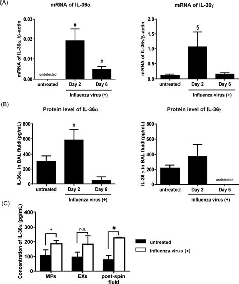 Expression Of Il 36 Cytokines In Lung Of Wt Mice Infected With Download Scientific Diagram