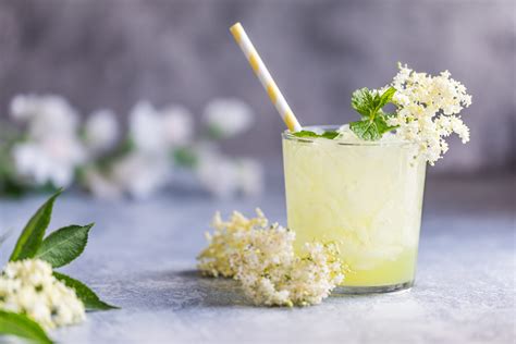 The Best Elderflower Drinks To Impress Your Friends With Dose