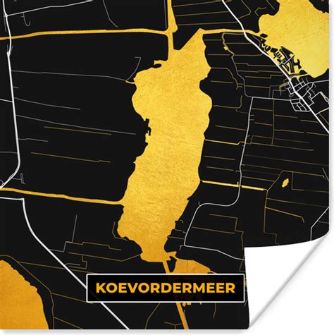 Poster Kaart Plattegrond Stadskaart Koevordermeer Goud 30x30