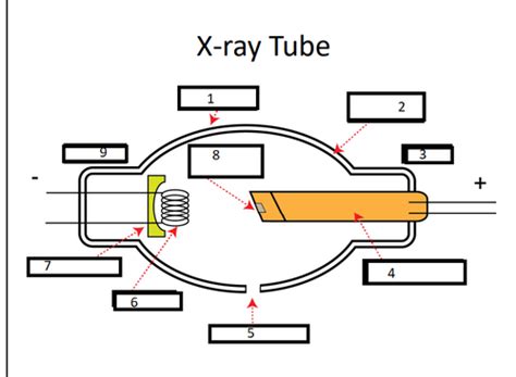X-Ray Machine Flashcards | Quizlet