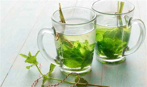 Infusi N De Menta Beneficios Y Propiedades