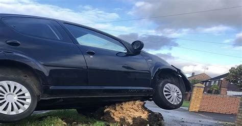 Picture Shows Car Stuck On Tree Stump As Drunk Driver Is Caught By