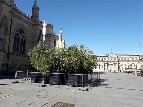 Une Ombri Re De M Va Voir Le Jour Sur La Place Pey Berland Bordeaux