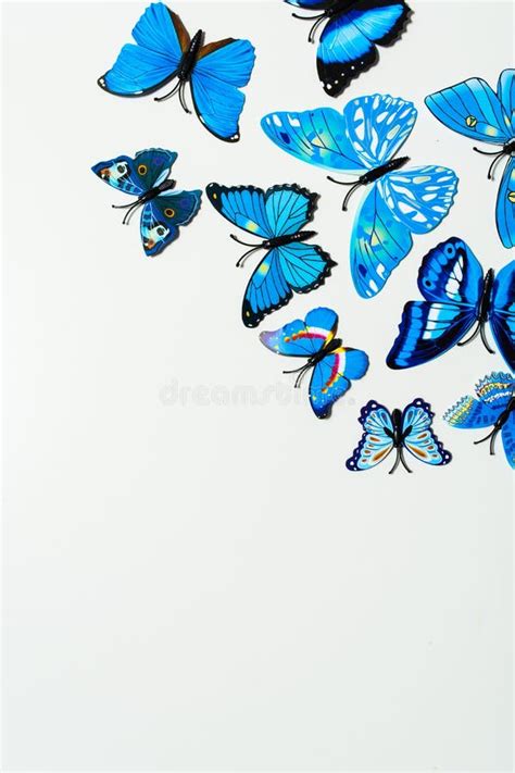 Blauwe Vlinder Op Witte Achtergrond Stock Illustratie Illustration Of