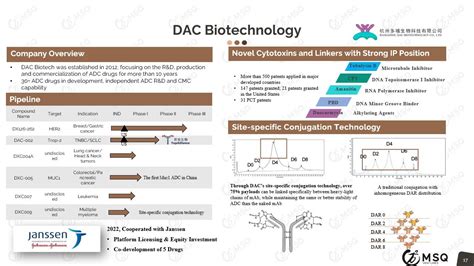 Global Adc Drug Development China Opportunities Report Msq