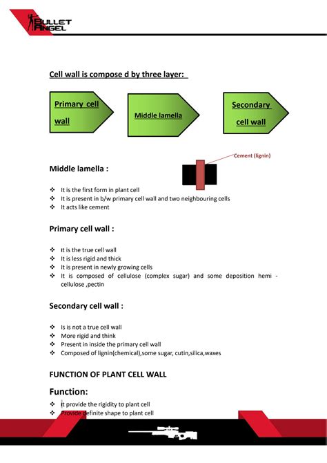 SOLUTION: Cell wall and cell membrane - Studypool