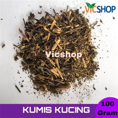 Jual Gram Daun Kumis Kucing Kering Orthosiphon Shopee Indonesia