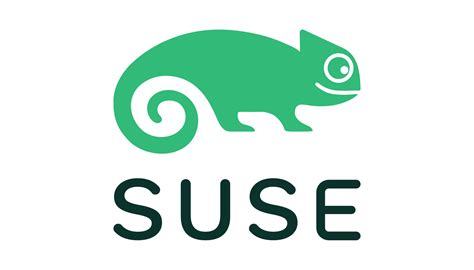 Partner Logos Svgsuse Bnext In Innovation