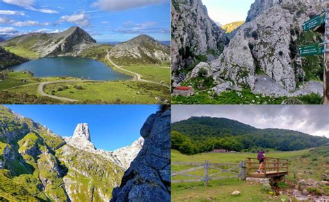 Los Concejos De Los Picos De Europa Reciben Euros Para