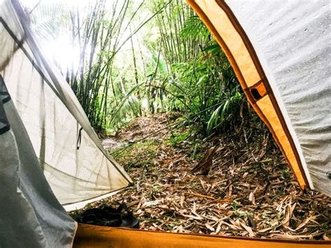 Here's How to Go Camping in El Yunque