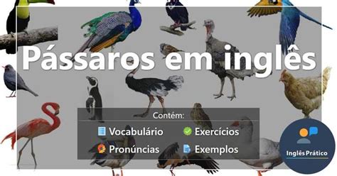 Verbo To Be no Futuro exercícios Inglês Prático