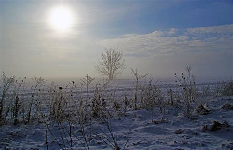 Free Images Landscape Tree Nature Horizon Mountain Snow Winter