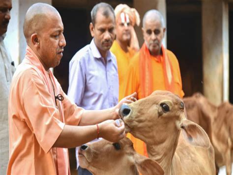 Yogi Adityanath Reached Jhansi On A Two Day Tour Of Bundelkhand Cm Will