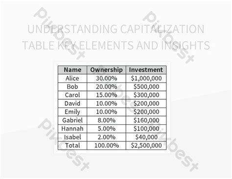 Exploring Key Elements And Insights Of A Capitalization Table Excel