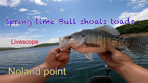 Spring Crappie Fishing Bull Shoals 5 7 23 YouTube