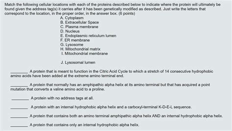 Solved Match the following cellular locations with each of | Chegg.com 
