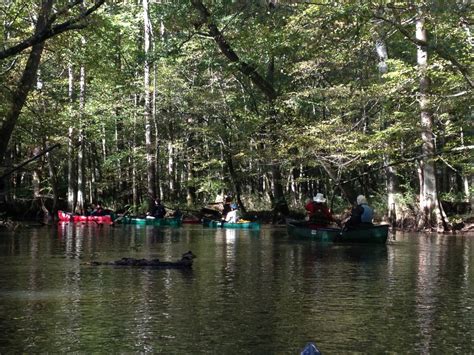 Wolf River Conservancy – loveyourbigmuddy expeditions