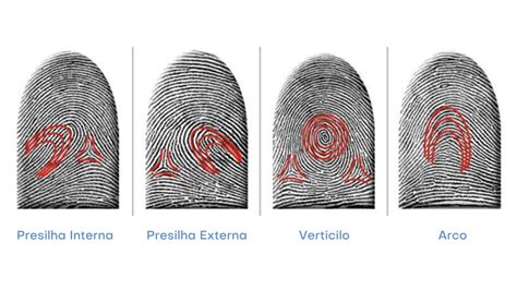 Quais S O Os Tipos De Impress O Digital Infant Id