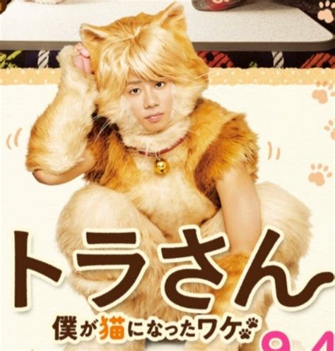 猫の日と言えば♬︎♥ 北山宏光 ただただ君をを大好きだ