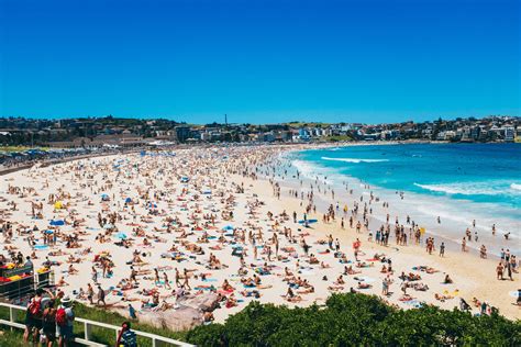 WATCH Shark Attack On Bondi Beach Leaves Man With No Arm - Animals ...