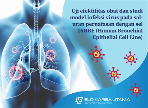 Uji Efektifitas Obat Dan Studi Model Infeksi Virus Pada Saluran