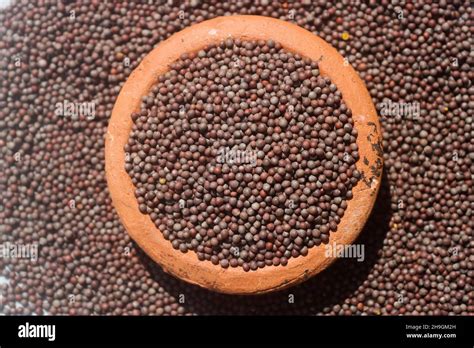 Mustard Seed And Mustard Seed Oil Stock Photo Alamy