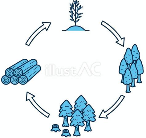 Free Vectors Reforestation Cycle SDGs Image Diagram