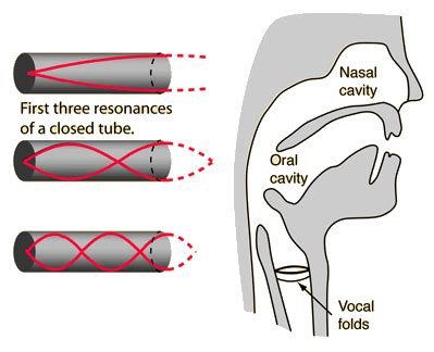 What is Resonance in Singing? - Learning Singing