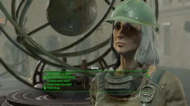 Extended Dialogue Interface At Fallout 4 Nexus Mods And Community