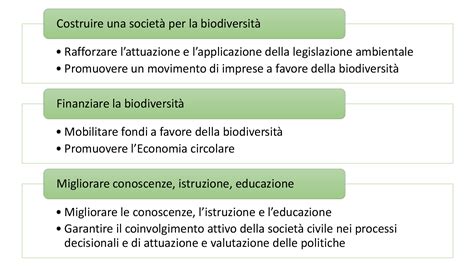 Pianeta Psr Ambiente La Strategia Nazionale Per La Biodiversit Del