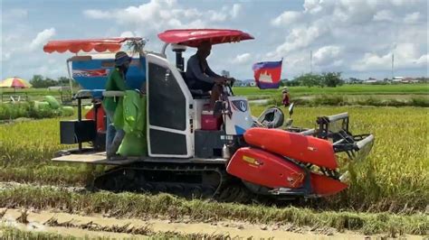 Harvester Rice Machinery Techniques Operator Skills Harvest Rice At