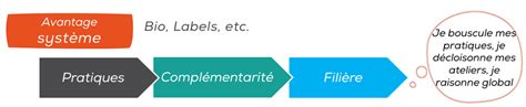 Définir une stratégie dentreprise agricole Axe n2 lavantage