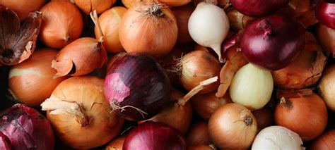 Quels Oignons Choisir Pour Ma Cuisine Ferme Des Volcans