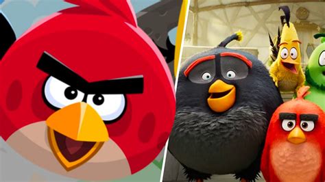 Incredible Compilation Over 999 Angry Bird Images In Stunning 4k Quality