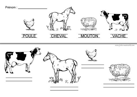 Activit S Maternelle Les Animaux De La Ferme