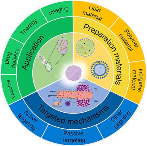 Frontiers Application Of Nanoparticles In Tumour Targeted Drug