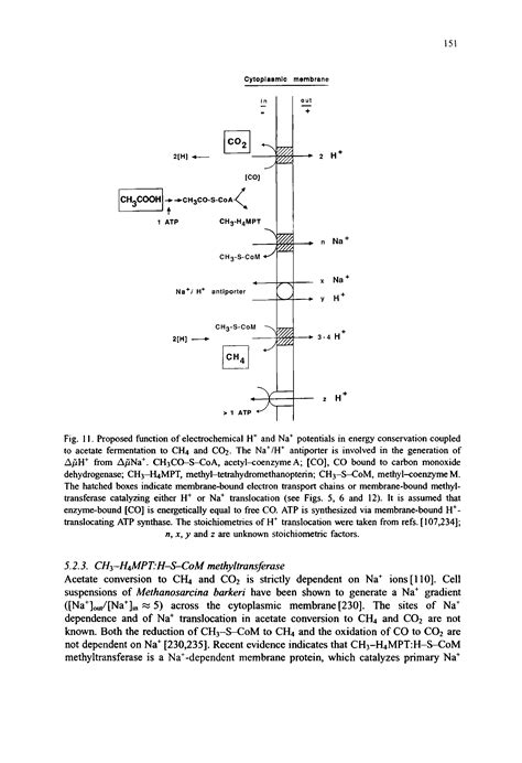 Carbon Monoxide Electron Transport Chain Big Chemical Encyclopedia