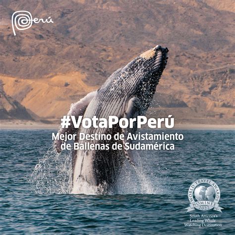 PROMPERÚ on Twitter VOTA AHORA bit ly 3Q8qBJk Hagamos que