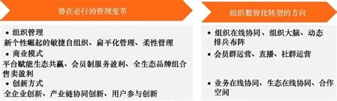 数智洞察丨业务重构、组织升级、技术赋能，用好数智化敏捷组织的战略定位“三板斧” 阿里云开发者社区