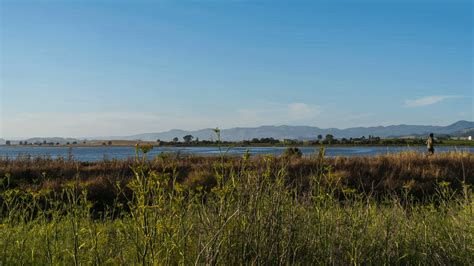 Napa River and Bay Trail - American Canyon Napa Valley