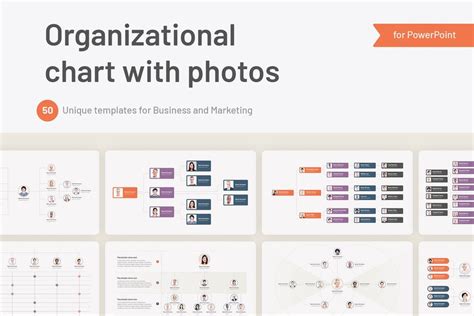 2023 Best Organizational Chart and Hierarchy Powerpoint Template Presentation Slides Template ...