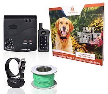 7 Best Wireless Dog Fence & Reviews [2020 Updated] - Pet Life World