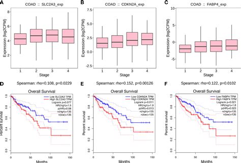 Frontiers Establishment And Validation Of A Ferroptosis Related