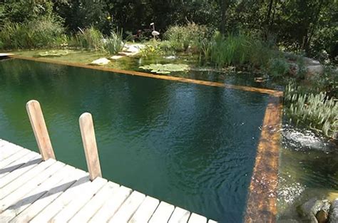 Landscaping: Care Tips & Design Ideas | Natural swimming ponds, Natural ...